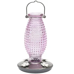 Perky-Pet Hobnail Glass Vintage Hummingbird Feeder - Cranberry - 24 Oz Cap - 2 Pack