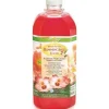 Perky-Pet Hummingbird Nectar Ready To Use Wild Bird Food - Red - 2 L