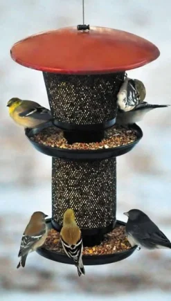 Perky-Pet Multi-Seed Wild Bird Feeder - Red - 4 Lbs Cap
