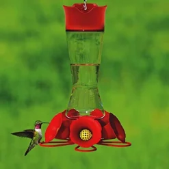 Perky-Pet Pinch Waist Glass Hummingbird Feeder - Clear/Red - 16 Oz Cap - 4 Pack