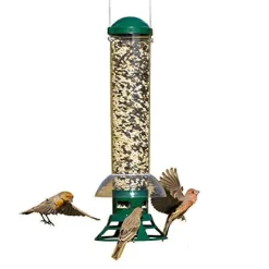 Perky-Pet Squirrel Slammer Wild Bird Tubed Wild Bird Feeder - Green - 3.5 Lbs Cap