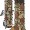 Perky-Pet Squirrel-Be-Gone Wild Bird Tubed Wild Bird Feeder - Brown - 2 Lbs Cap