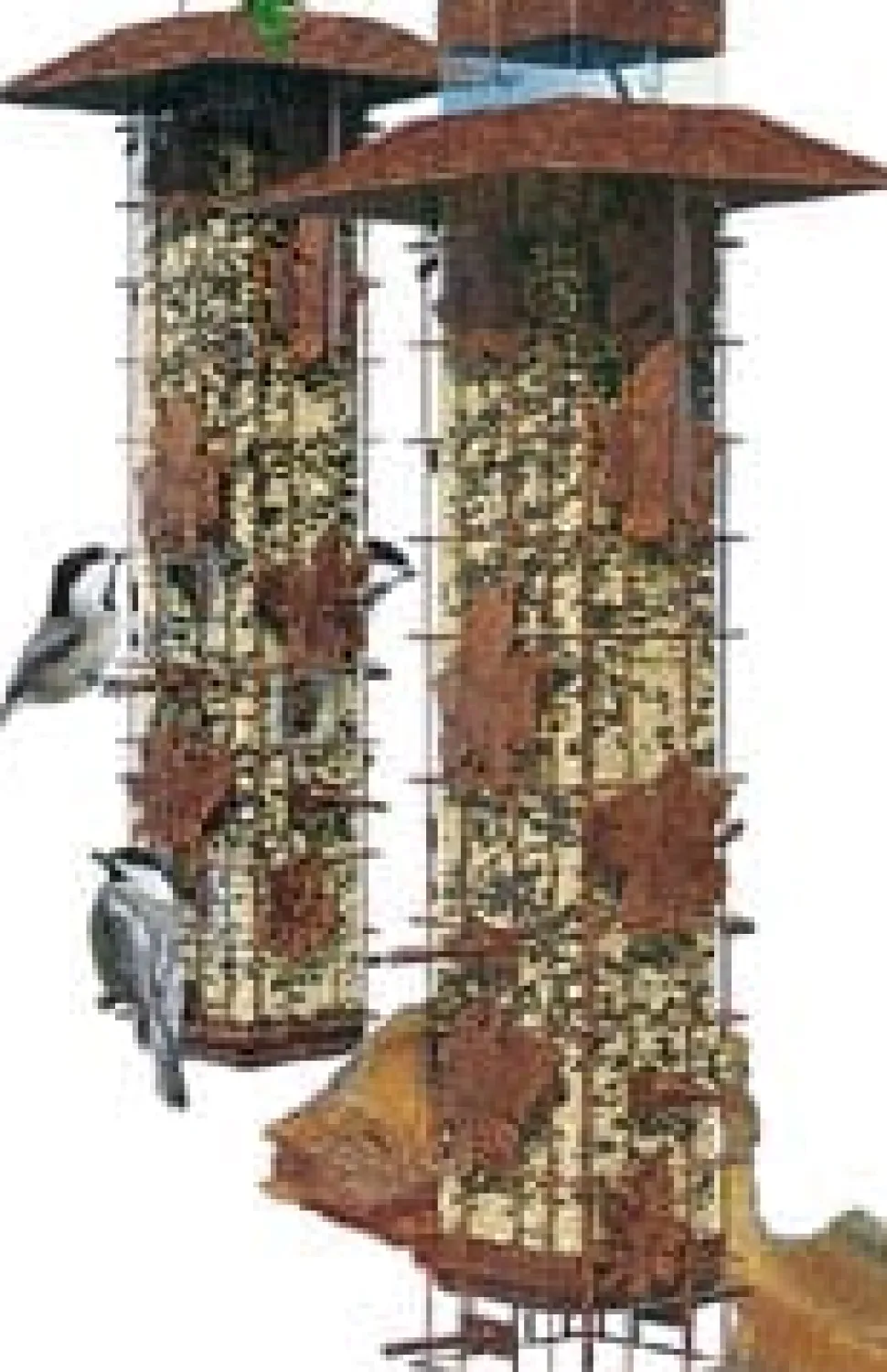 Perky-Pet Squirrel-Be-Gone Wild Bird Tubed Wild Bird Feeder - Brown - 2 Lbs Cap