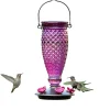 Perky-Pet Top-Fill Glass Hummingbird Feeder - Wine - 24 Oz Cap - 2 Pack