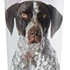 Pet Ag High Calorie Gel for Dogs - 5 Oz