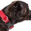 Pet Life ® 'Aero Mesh' Dual-Sided Breathable and Adjustable Thick Mesh Dog Collar