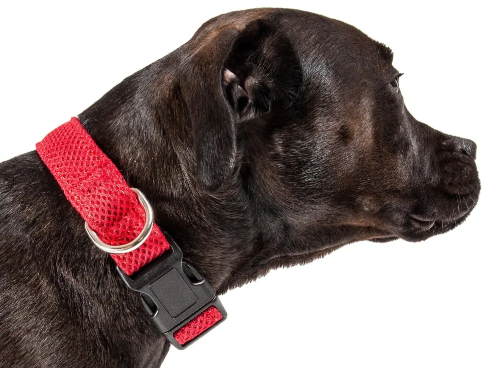 Pet Life ® 'Aero Mesh' Dual-Sided Breathable and Adjustable Thick Mesh Dog Collar