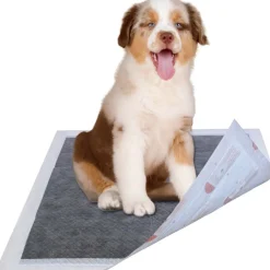 Pet Life ® 55 Grams Ultra Absorbent Charcoal Odor Eliminating Premium Dog Training Pads