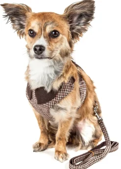 Pet Life ® Luxe 'Houndsome' 2-In-1 Adjustable Designer Dog Harness and Leash