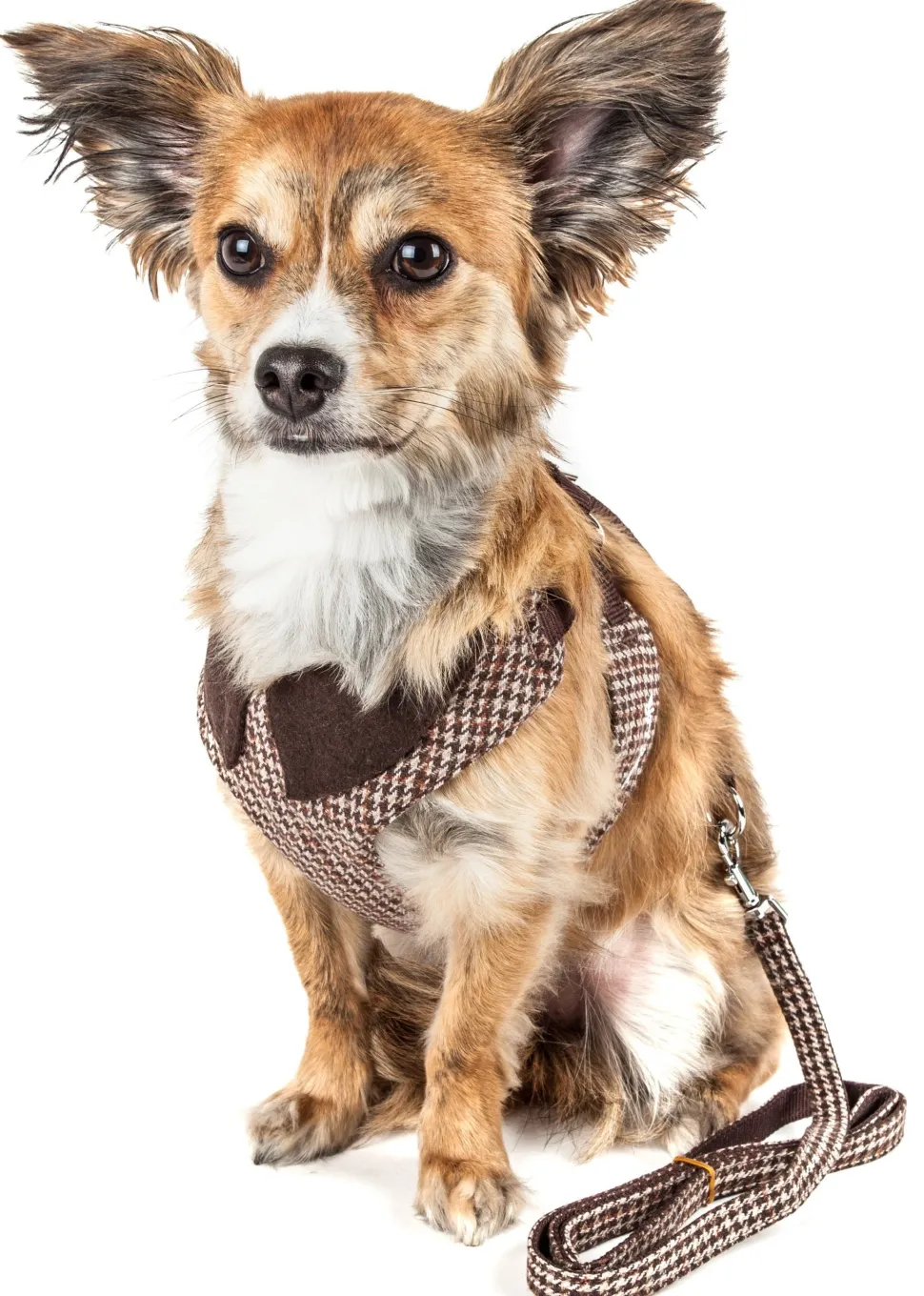 Pet Life ® Luxe 'Houndsome' 2-In-1 Adjustable Designer Dog Harness and Leash