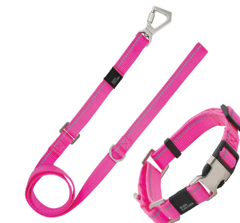 Pet Life ® 'Advent' Outdoor Series 3M Reflective 2-in-1 Durable Martingale Training Dog Leash and Collar