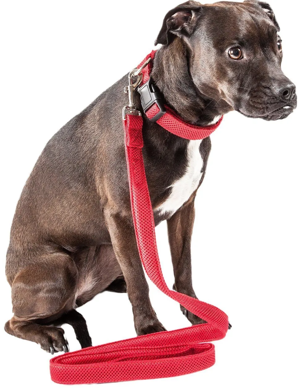 Pet Life ® 'Aero Mesh' 2-In-1 Breathable and Adjustable Dual-Sided Mesh Dog Leash and Collar