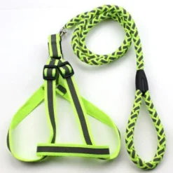Pet Life ® 'Easy Tension' Reflective Stitched Adjustable 2-in-1 Pet Dog Leash and Harness