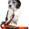 Pet Life ® 'Echelon' Hands Free and Convertible 2-In-1 Training Pet Dog Leash and Pet Belt Trainer