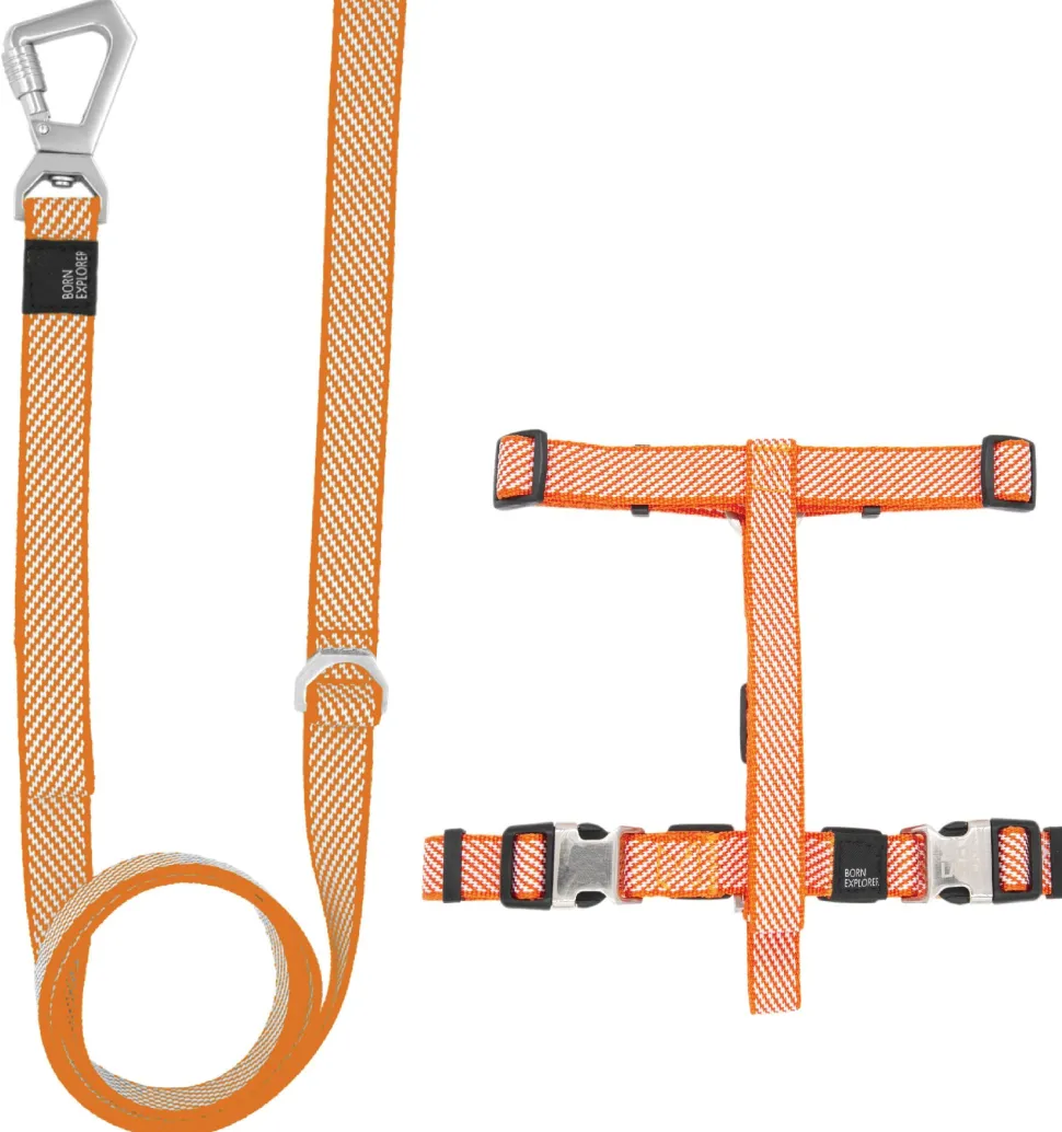 Pet Life ® 'Escapade' Outdoor Series 2-in-1 Convertible Dog Leash and Harness