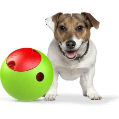 Pet Life ® 'Foobler' Self-Timing and Reloading Automatic Puzzle Dog Food Dispenser