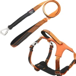Pet Life ® 'Geo-prene' 2-in-1 Shock Absorbing Neoprene Padded Reflective Dog Leash and Harness