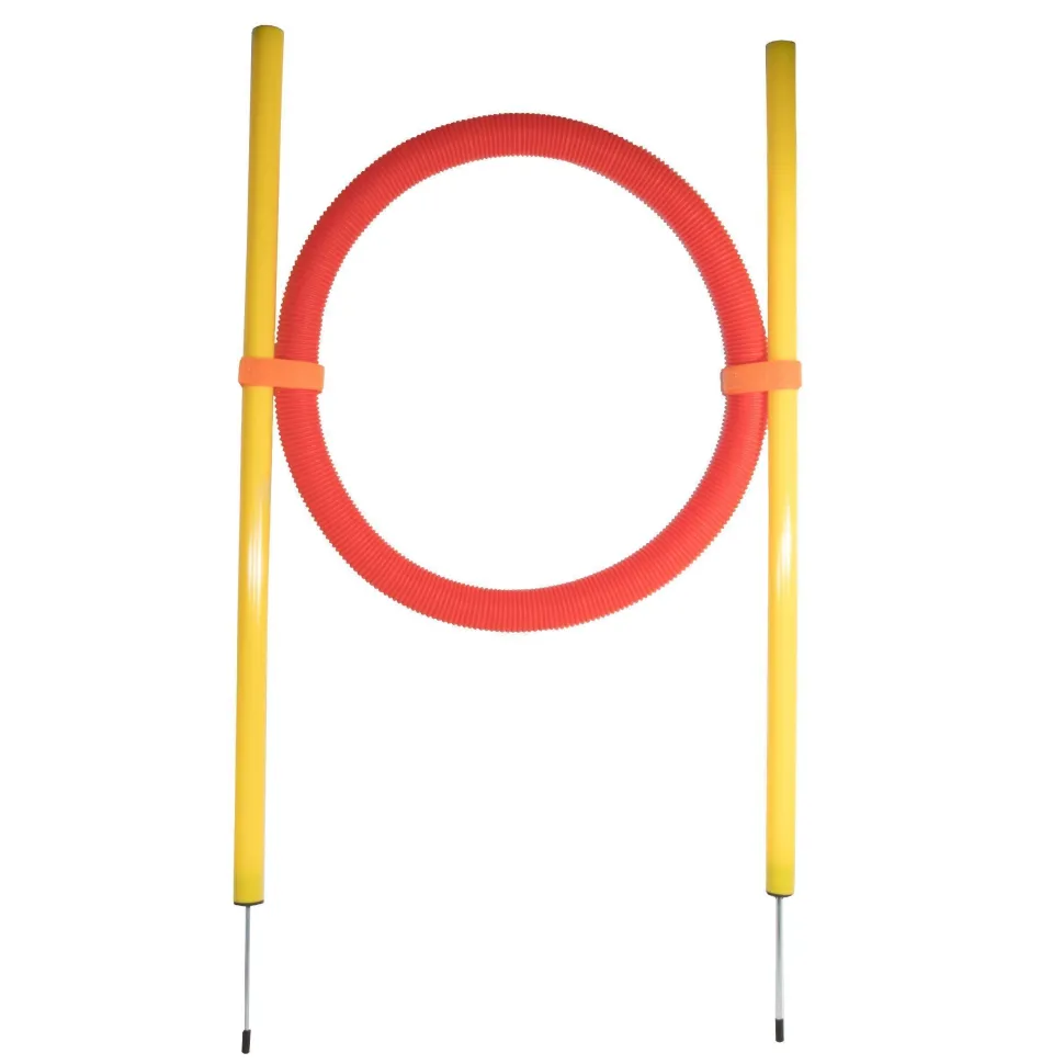 Pet Life ® 'Hoop Hopper' Collapsible Travel Folding Outdoor Performance Agility Pet Dog Trainer Training Kit