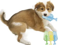 Pet Life ® 'Lick & Gnaw' Cooling Ices Cone Freezable and Chewable Tossing Waterproof Floating Pet Dog Toy