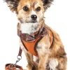 Pet Life ® Luxe 'Pawsh' 2-In-1 Adjustable Fashion Dog Harness and Leash