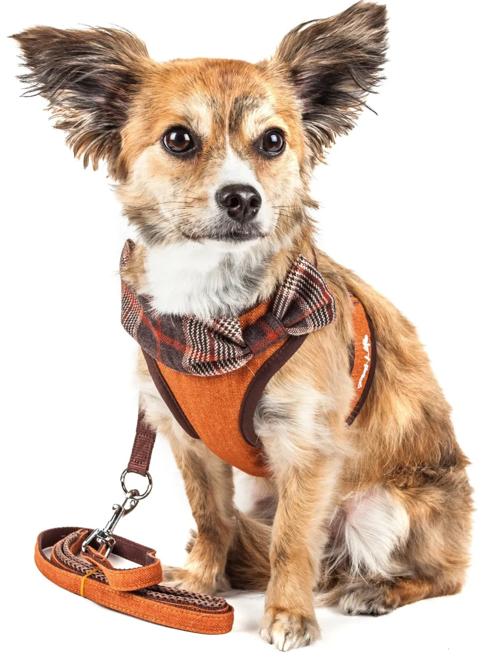 Pet Life ® Luxe 'Pawsh' 2-In-1 Adjustable Fashion Dog Harness and Leash