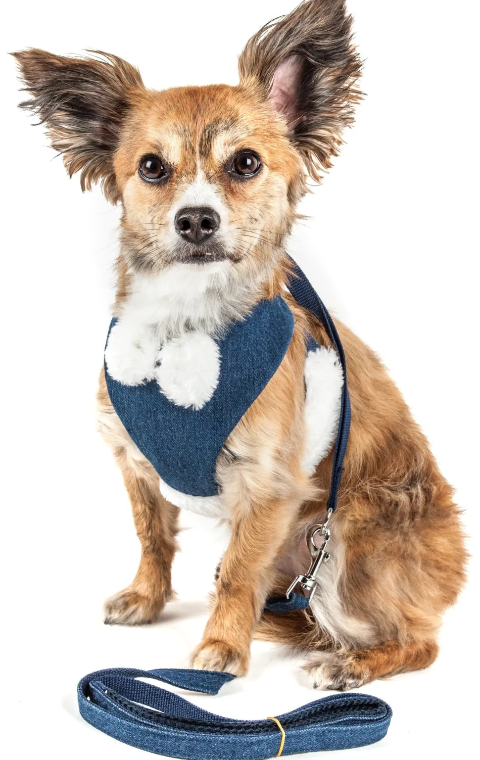 Pet Life ® Luxe 'Pom Draper' 2-In-1 Adjustable Fashion Dog Harness and Leash