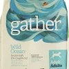 Petcurean Gather Wild Ocean Fish Dry Dog Food - 16 lb Bag