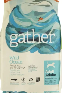 Petcurean Gather Wild Ocean Fish Dry Dog Food - 16 lb Bag