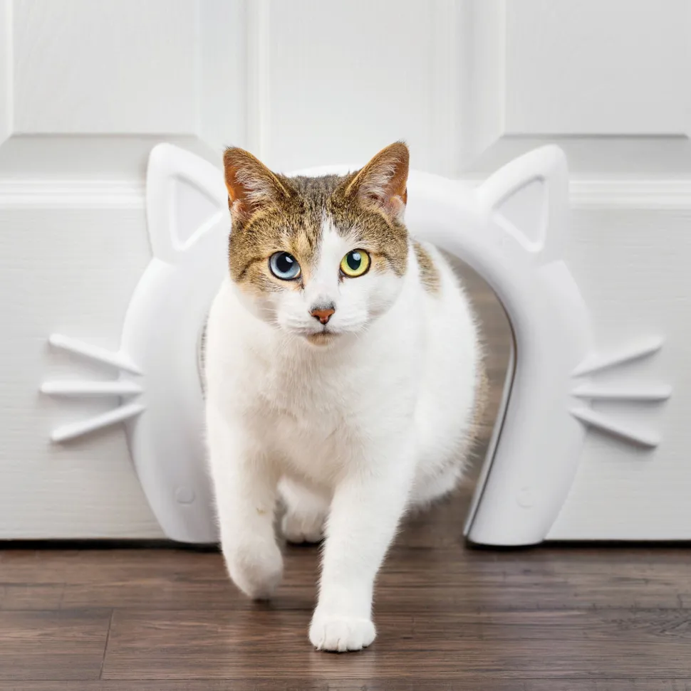 Petsafe Cat Corridor Interior Pet Door - White - O/S