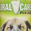 PETZLIFE Oral Care Spray Dental Care for Dogs and Cats - 12 oz
