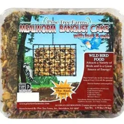 Pine Tree Farms Mealworm Banquet Large Seed Cake Wild Bird Food - Fruit/Nut - 1.75 Lbs