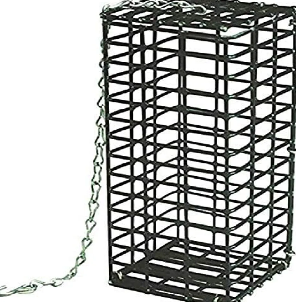 Pine Tree Farms Seed Bar Hanging Feeder Suet and Seed Cake Wild Bird Feeder - Black - 16 Oz Cap