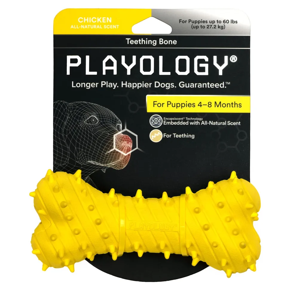 Playology Chicken Scented Teething Bone Rubber Puppy Dog Toy with Encapsiscent Technology - Large