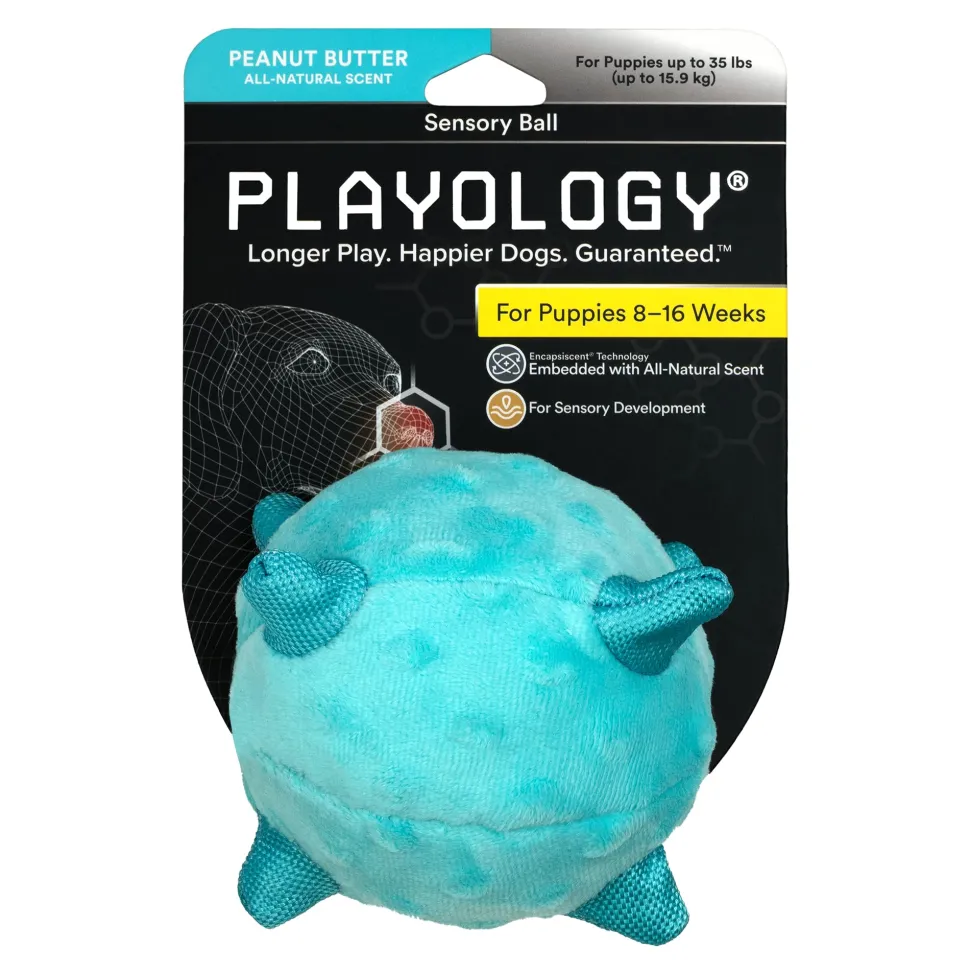 Playology Peanut Butter Scented Sensory Ball Squeak and Plush Puppy Dog Toy with Encapsiscent Technology - Small