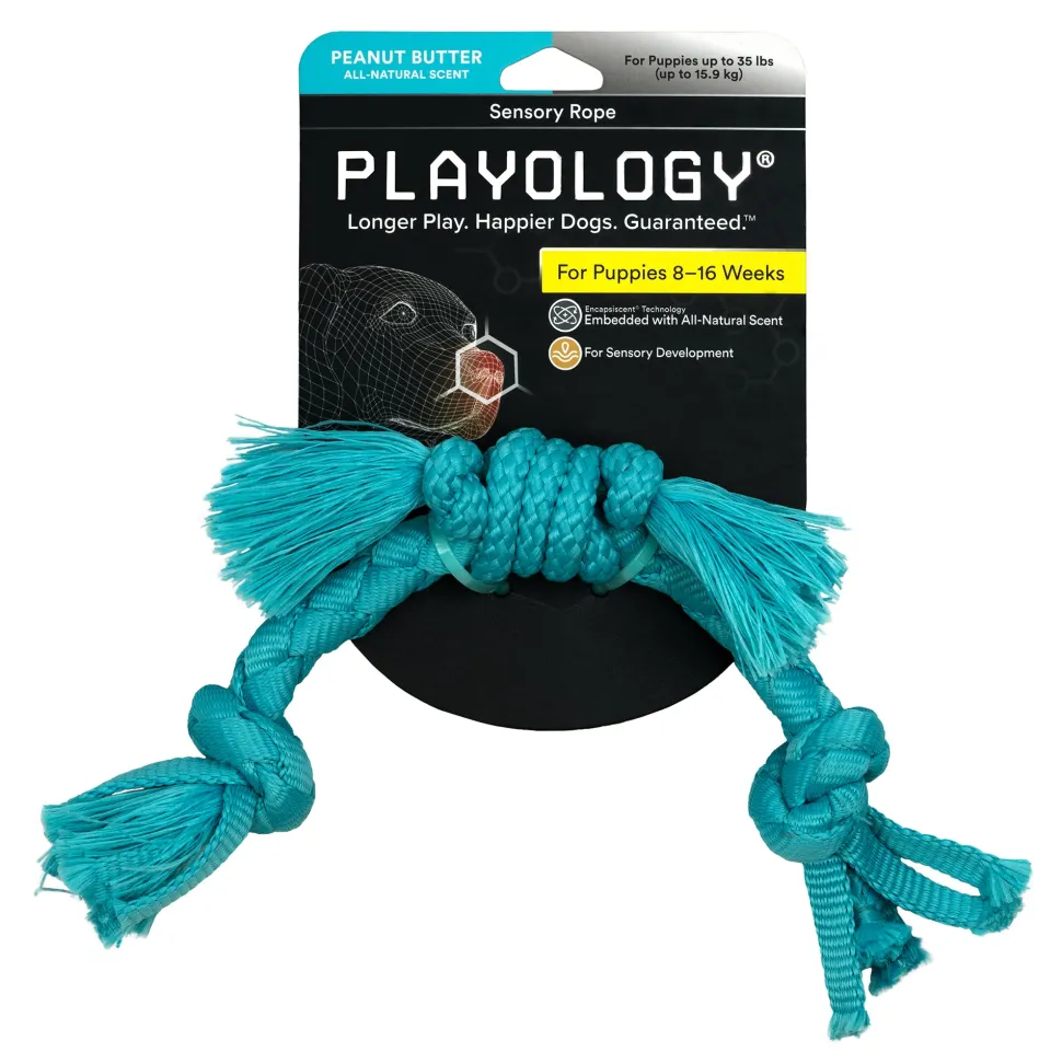 Playology Peanut Butter Scented Sensory Rope Puppy Dog Toy with Encapsiscent Technology - Small