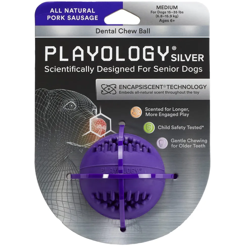 Playology Pork Scented Dental Chew Ball Rubber Dog Toy with Encapsiscent Technology - Small