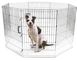 Precision Pet Products Exercise Pen Silver - 36 in
