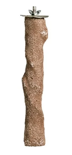 Prevue Hendryx Beach Branch - Large
