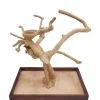 Prevue Hendryx Coffeawood Tree Mini Table Top - Medium
