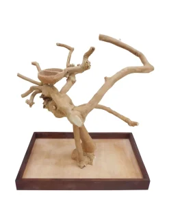 Prevue Hendryx Coffeawood Tree Mini Table Top - Medium