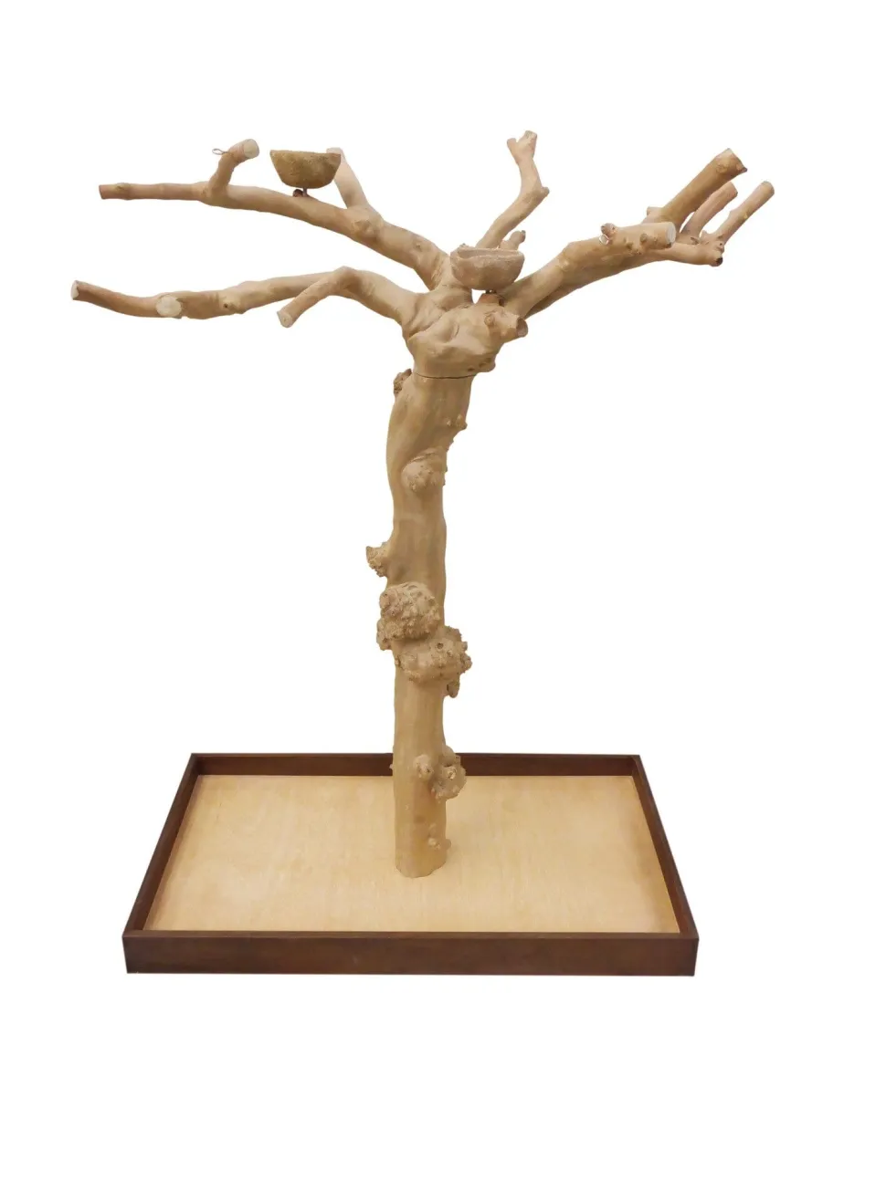 Prevue Hendryx Coffeawood Tree Floor Stand - Style 2 - Large