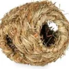 Prevue Hendryx Grass Ball - Small