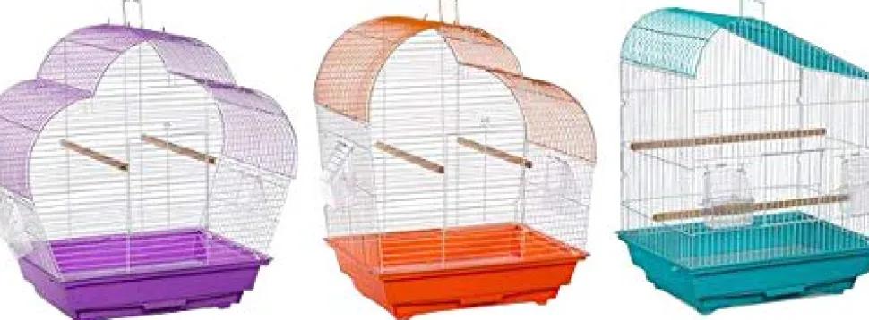Prevue Hendryx Palm Beach Budgie Collection - 3 pk - Assorted Colors - Pack of 3