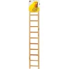 Prevue Hendryx 11-rung Bird Ladder