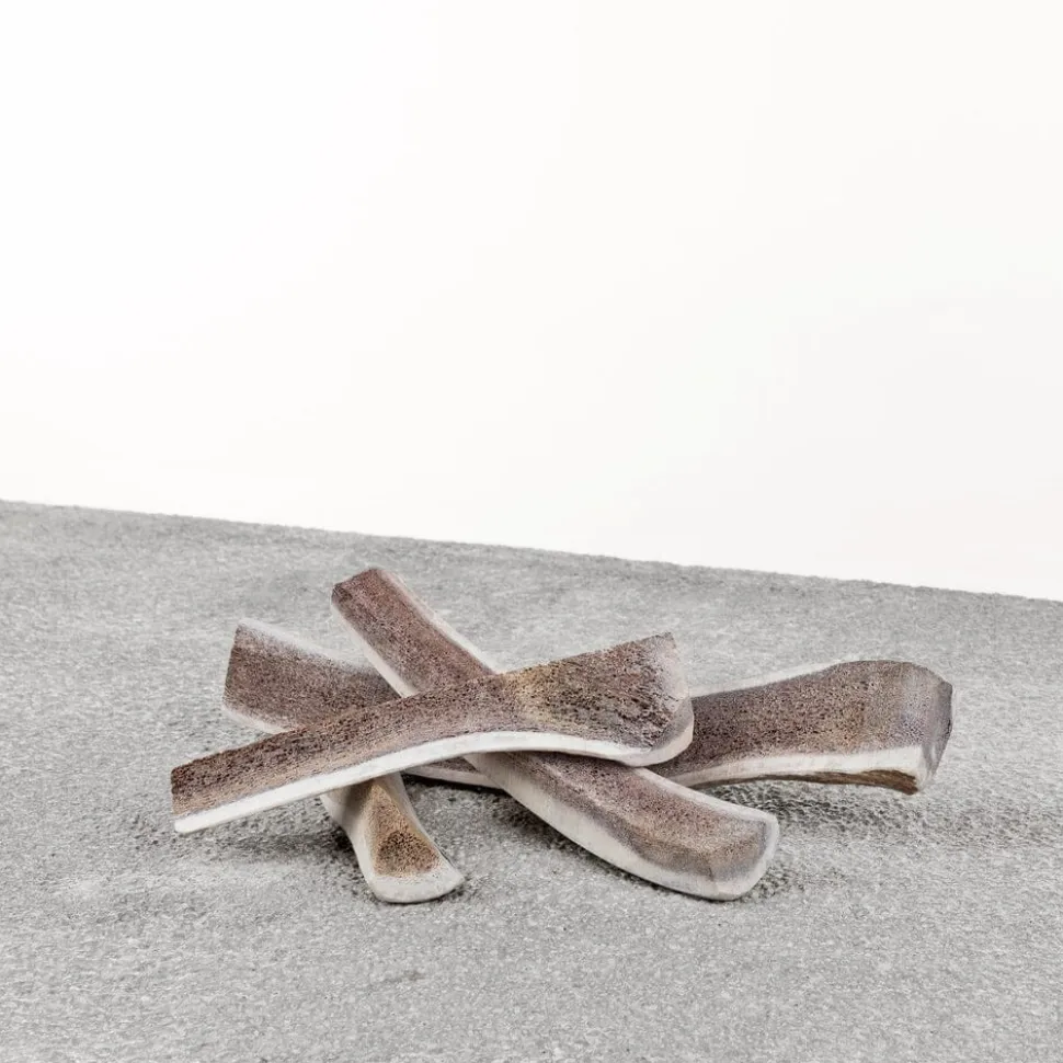 Primal Elk Antler Natural Dog Chews - Medium