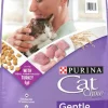 Purina Cat Chow Gentle Sensitive Skin and Stomach Farm-Raised Turkey Dry Cat Food - 13 Lbs