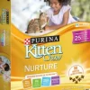 Purina Kitten Chow Dry Cat Food
