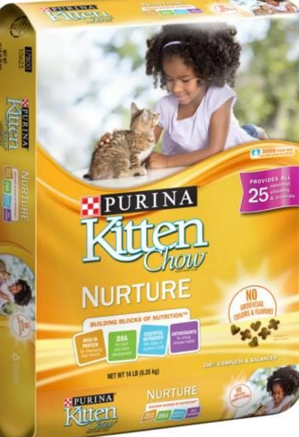 Purina Kitten Chow Dry Cat Food