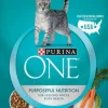 Purina One + Plus Hairball Formula Immune Support Adult Chicken Dry Cat Food - 7 Lbs - Case of 4