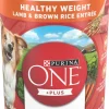 Purina One + Plus Tender Cuts in Gravy Lamb and Brown Rice Canned Dog Food - 13 Oz - Case of 12